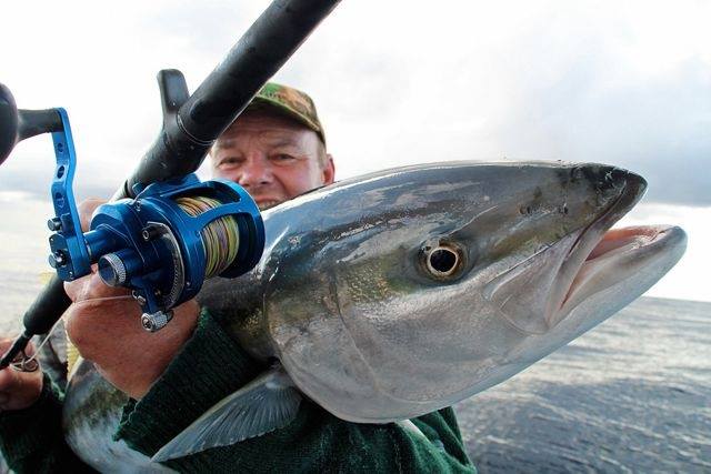 AVET Reels – The Ultimate Fishing Reel